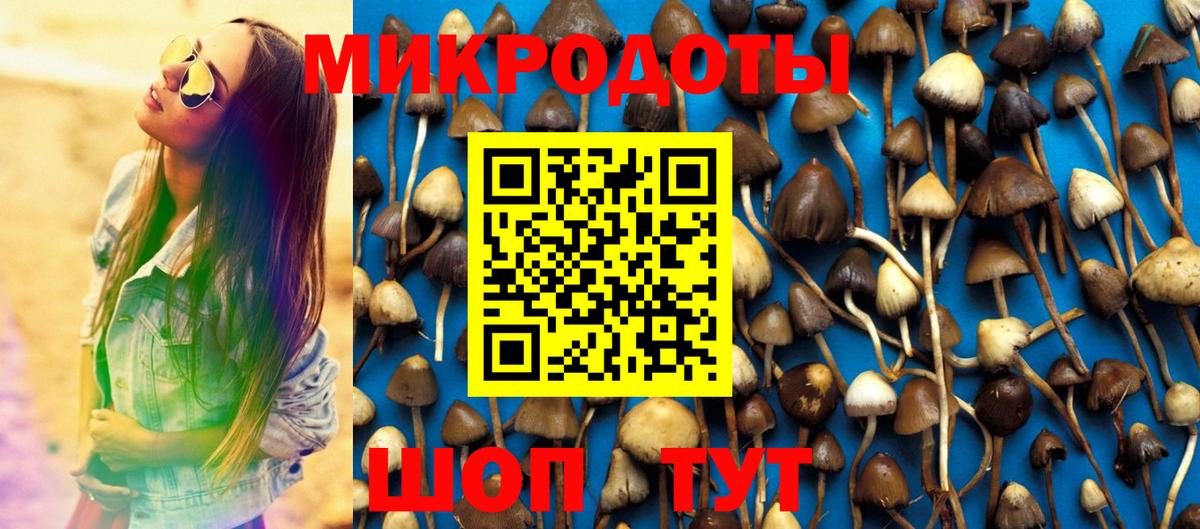 где купить наркоту  Галлюциногенные грибы Psilocybine cubensis  Вход с VPN  Черкесск  Галлюциногенные грибы мухоморы 